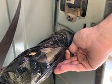 Found the issue for the rear, bags of padding instead of speakers.  No wires are there, but I will run some 18 gauge wire.