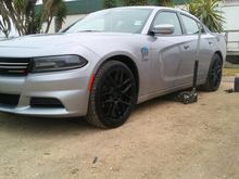 My Post Pictures