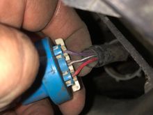 Bulb plug