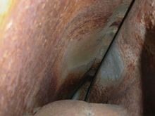 inside