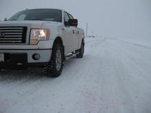 ford6