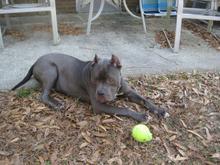 yard crasher 003
