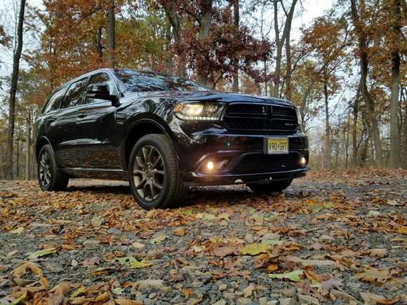 Autumn in NJ