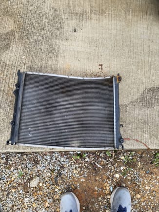 Old radiator. Thats almost a straight shot down, so that thing was tweaked pretty bad. Hitting a full size deer at 45 isnt good for your car. 