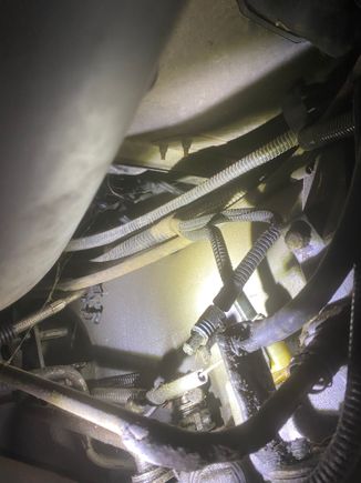 Black cable with blue on terminal hanging loose