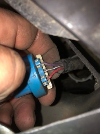 Bulb plug