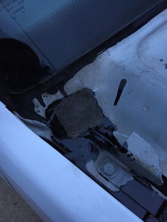 Where it was positioned