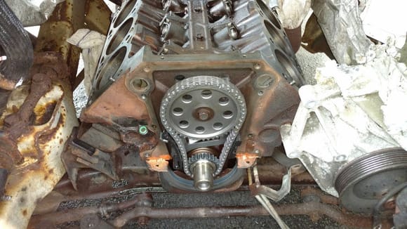 New timing chain and tensioner in place.