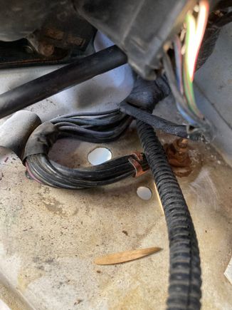 This is the set of ground wires that were corroded.
