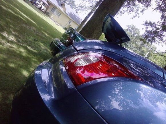 wing with neon in back