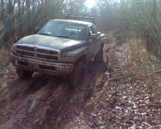 The beast