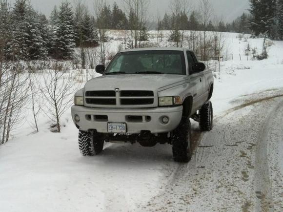 Going to add dual steering stabilizers in the near future