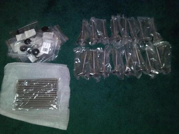 Some of the many expensive parts to build my heads. Stainless one piece valves, MP retainers, Edelbrock Pushrods. Parts in the mail; MP springs, MP keepers, voting seals.