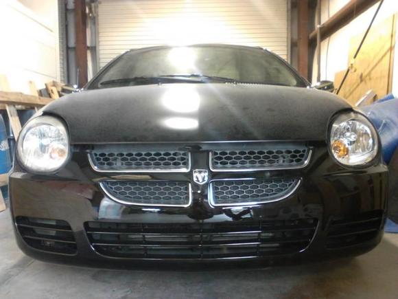 Fresh complete paint