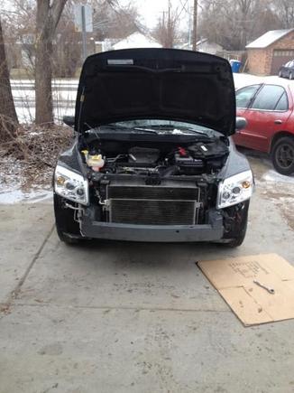 new projector headlights