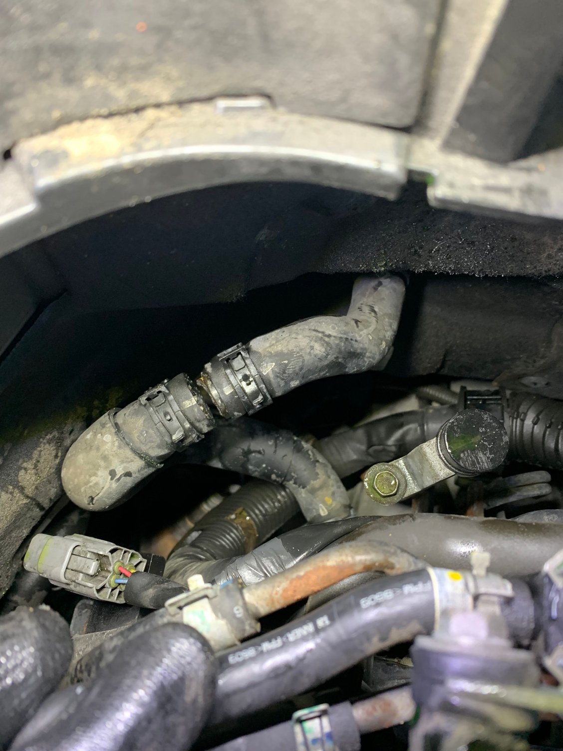 Please help Identify hose G35Driver Infiniti G35 & G37 Forum Discussion