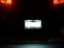 License Plate LEDs