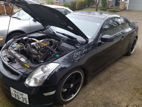 Hood up driver side front with OG Japanese plates