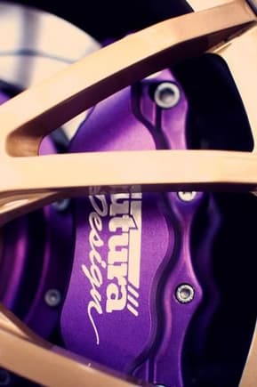 8/6 pot Futura Designs brakes purple calipers 14&quot; rotors