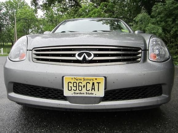 G-Cat