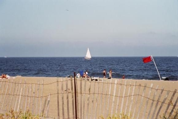 belmar002