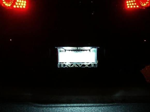 License Plate LEDs