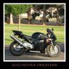 my rides