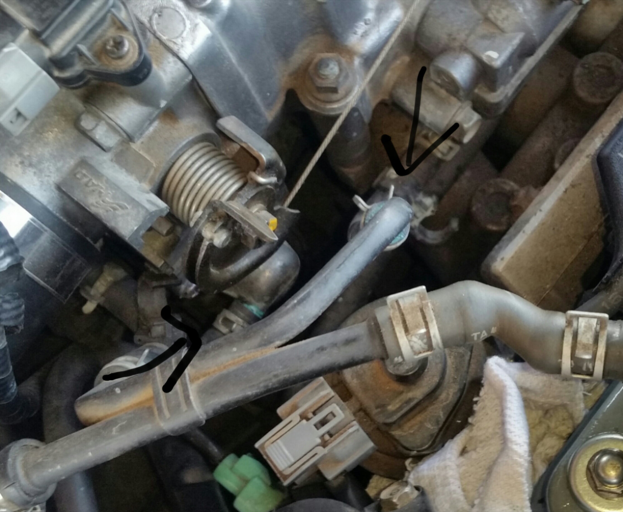 coolant leaking from water pump honda civic