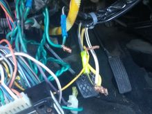 White/black wire cut into