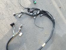 I should have paid extra to have the plugs labeled. This will not be fun.