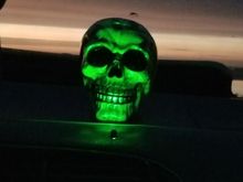 Skull with green light and night on him. Since my hotwire neon cord went out after only a few months of rocking them all the time.