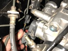 This might be IAT but wire colors do not match as well
Wire colors are black/red and yellow/black. The connector is not the same as the facory IAT plug.  Has anyone had this issue with their wireworx harness for obd2b with obd1 ecu plug harness? 