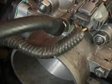 This one is from my throttle body and it leads to my evap canister 