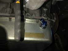 heres another pic of what in fighting