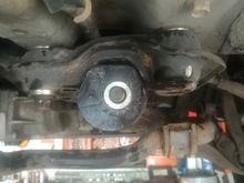 Castor increasing front LCA rear bushing