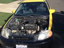 Maaco's going to paint a new hood.