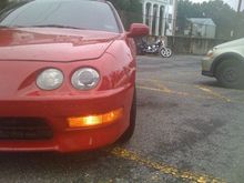 Sittin Pretty after a rain shower