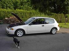 1992 Honda Civic Dx