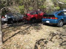 The grave yard :(