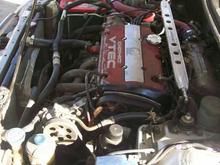 oh vtec