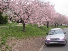 206986 203771219644910 100000361011334 636148 6651505 n