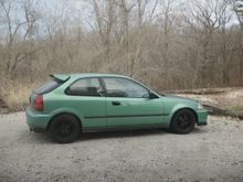hatch pics 001