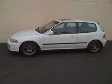 daily hatch