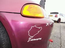 Afbeelding 017