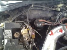 the other line had easier acsess so i managed to  bring its extra lenght into the bay