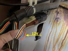 Relay connector. Orange wire is 12V when unlocked