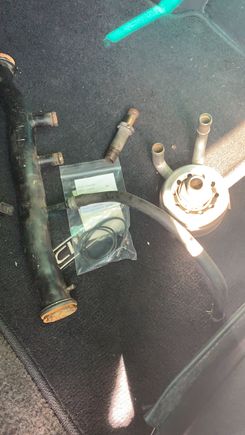 Factory oil cooler set up why not! 