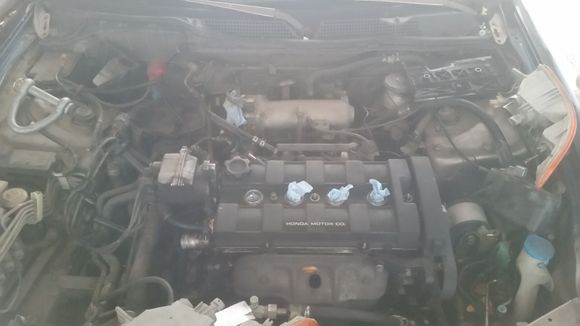 95 db7 i picked up for cheap, broken timing belt