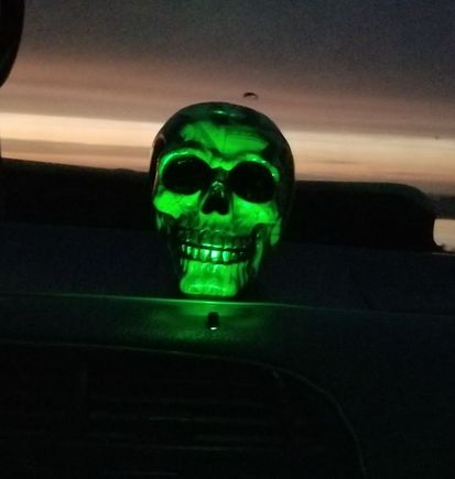 Skull with green light and night on him. Since my hotwire neon cord went out after only a few months of rocking them all the time.