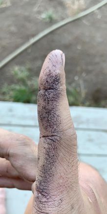 I am a lizard person. 